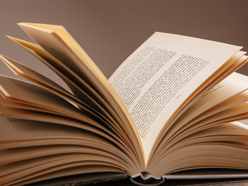 Презентация книги Г.Синицкого «Истоки церковного просвещения. Невельский уезд».